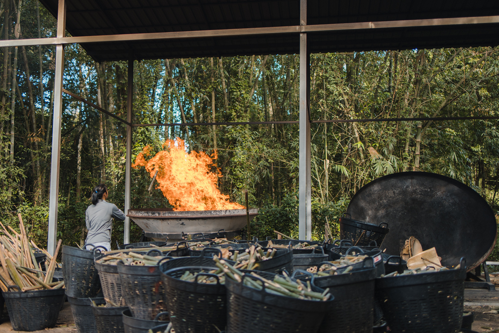 1117_wongphai_Biochar_Production_by_ManuelGussmann-8618-X3